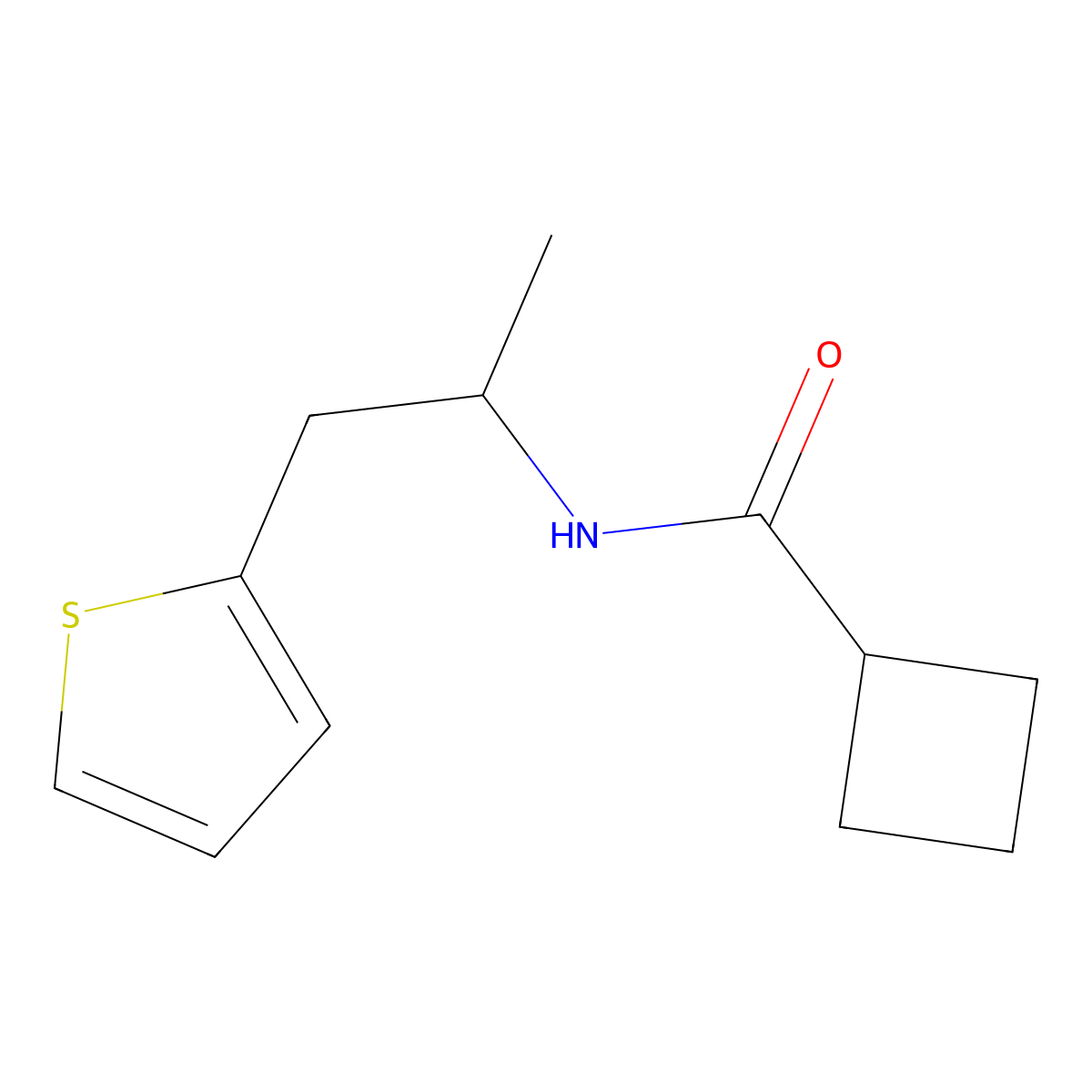 N-[1-(thiophen-2-yl)propan-2-yl]cyclobutanecarboxamide molecular structure, CAS 1210360-66-9