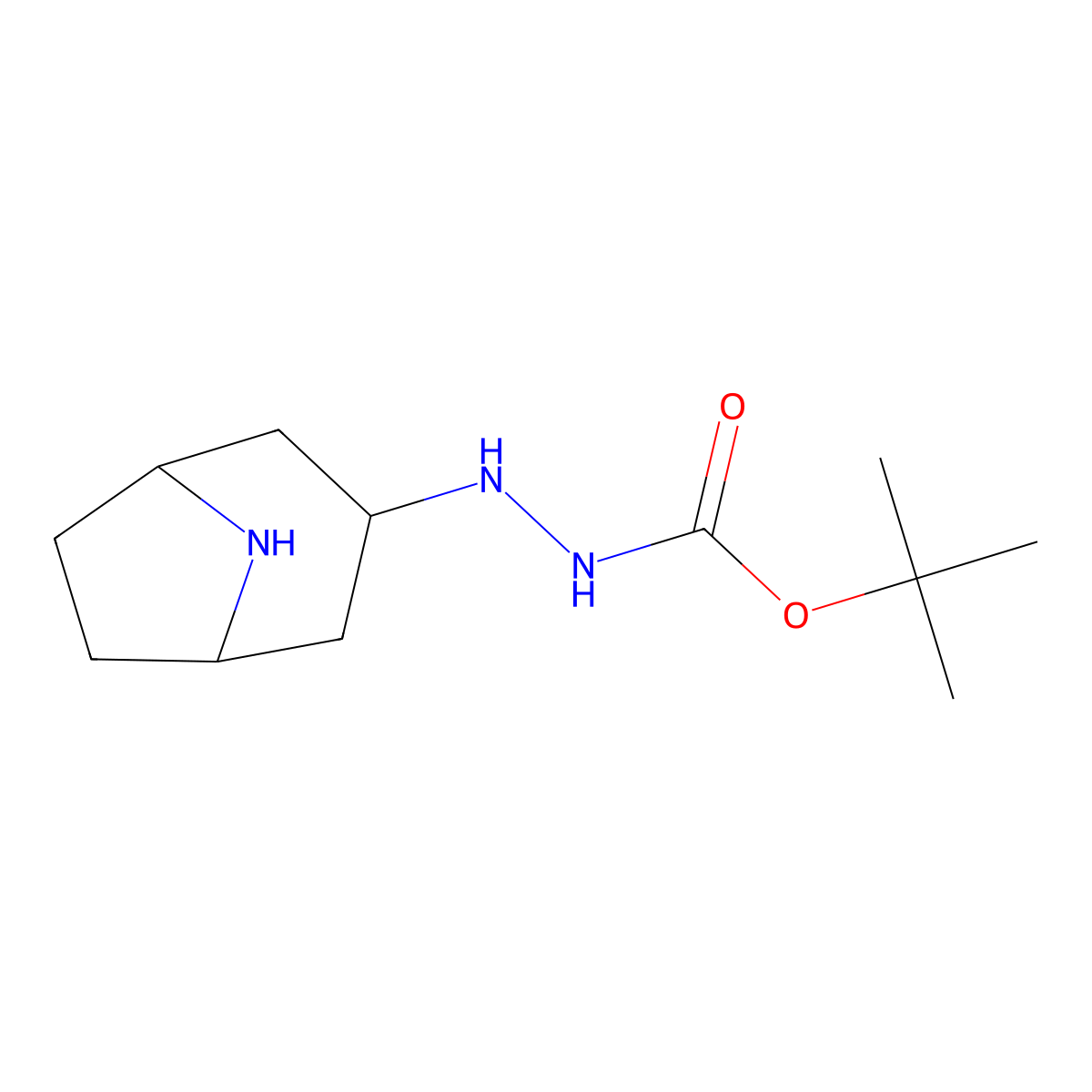 N'-{8-azabicyclo[3.2.1]octan-3-yl}(tert-butoxy)carbohydrazide molecular structure, CAS 1211031-39-8