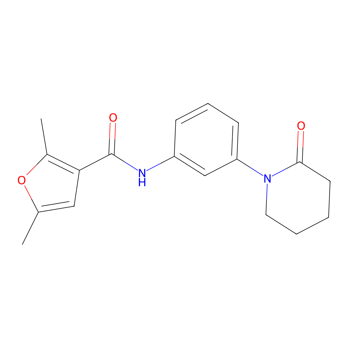 2,5-dimethyl-N-[3-(2-oxopiperidin-1-yl)phenyl]furan-3-carboxamide molecular structure, CAS 1211157-95-7
