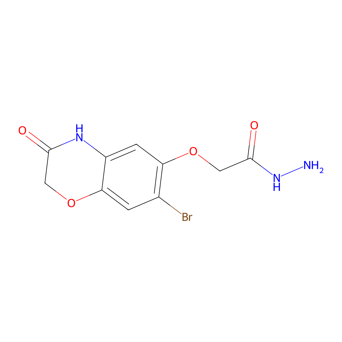 2-[(7-bromo-3-oxo-3,4-dihydro-2H-1,4-benzoxazin-6-yl)oxy]acetohydrazide molecular structure, CAS 1211474-46-2