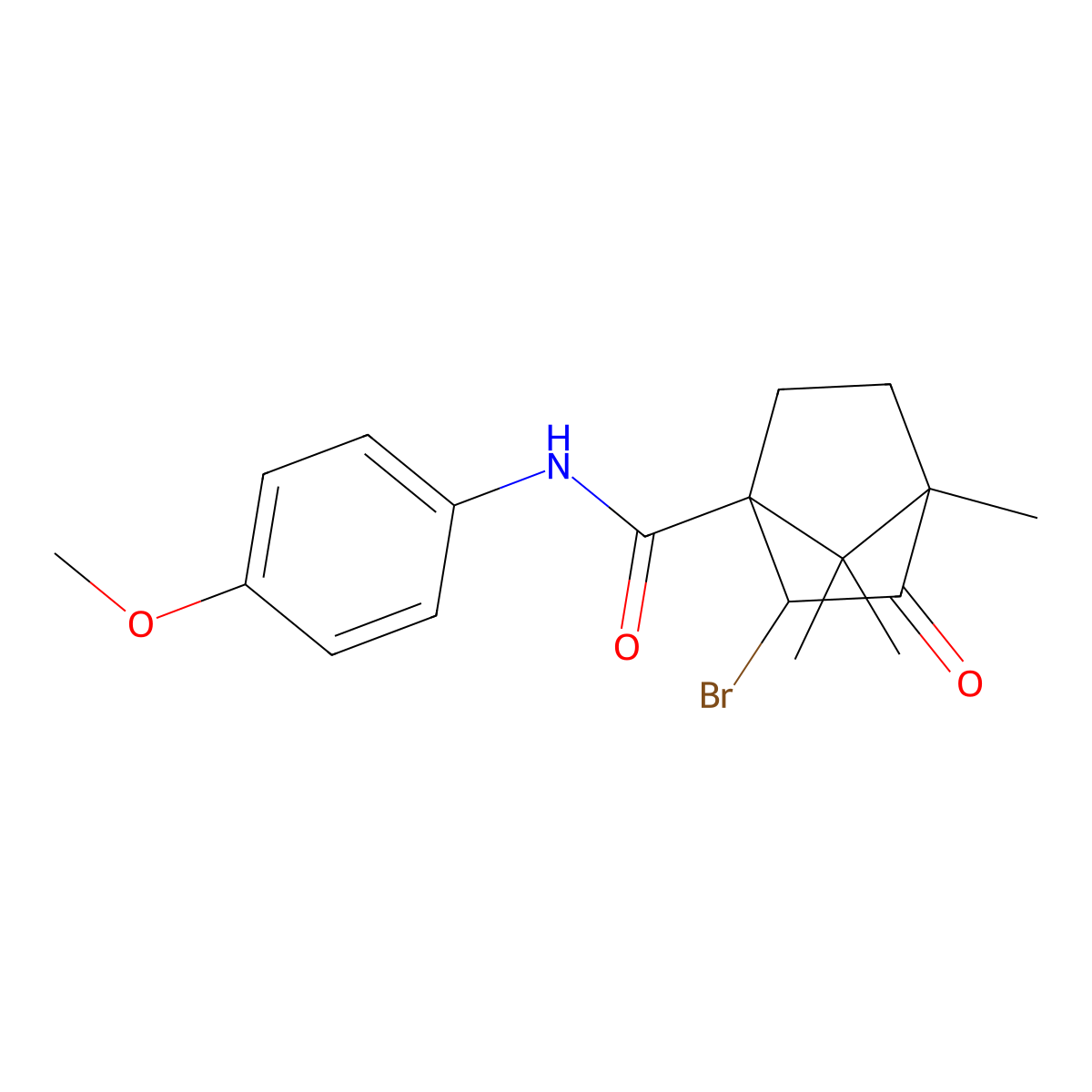 2-Bromo-N-(4-methoxyphenyl)-4,7,7-trimethyl-3-oxobicyclo[2.2.1]heptane-1-carboxamide molecular structure, CAS 1212173-25-5