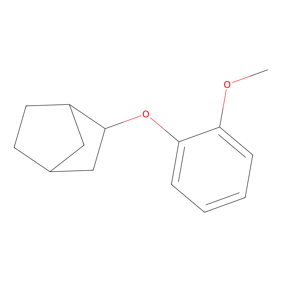 2-(2-Methoxyphenoxy)bicyclo[2.2.1]heptane molecular structure, CAS 1212189-72-4