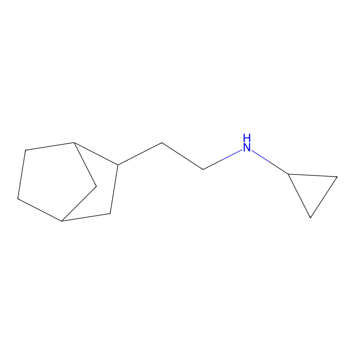 N-(2-{bicyclo[2.2.1]heptan-2-yl}ethyl)cyclopropanamine molecular structure, CAS 1212406-73-9