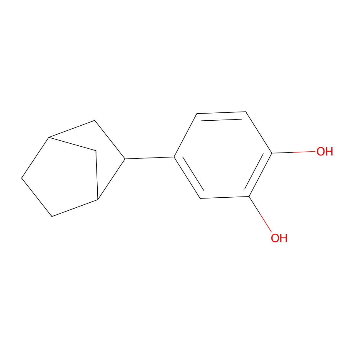 4-[(1R,4S)-bicyclo[2.2.1]hept-2-yl]benzene-1,2-diol molecular structure, CAS 1212473-83-0