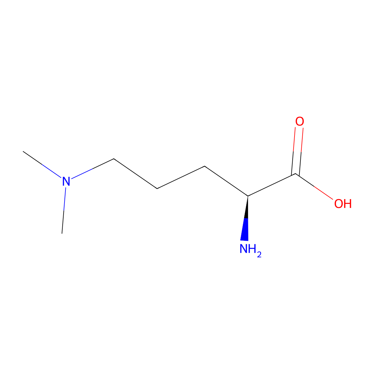 N,N-Dimethylornithine molecular structure, CAS 121428-46-4