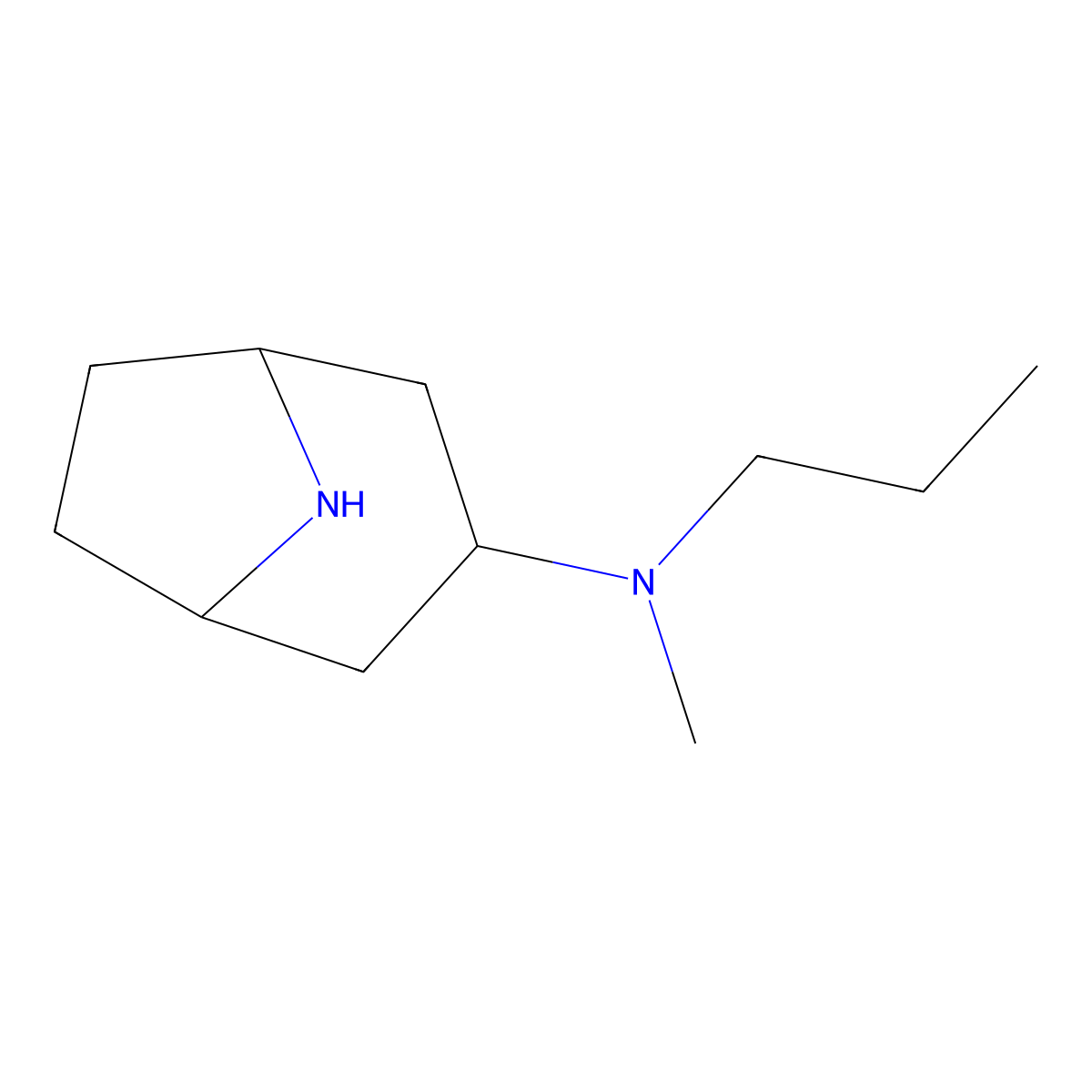 N-Methyl-N-propyl-8-azabicyclo[3.2.1]octan-3-amine molecular structure, CAS 1215667-48-3