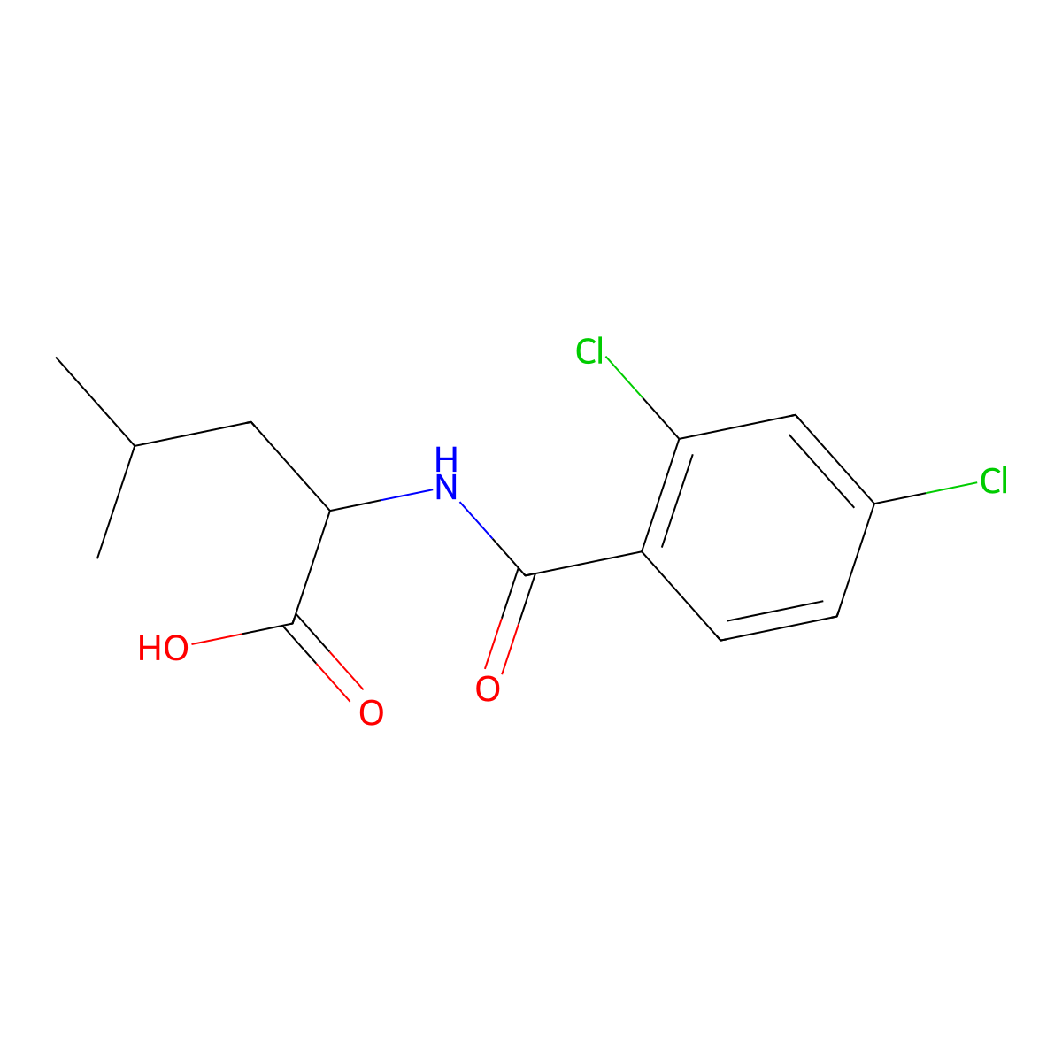 2-[(2,4-Dichlorophenyl)formamido]-4-methylpentanoic acid molecular structure, CAS 1215834-01-7