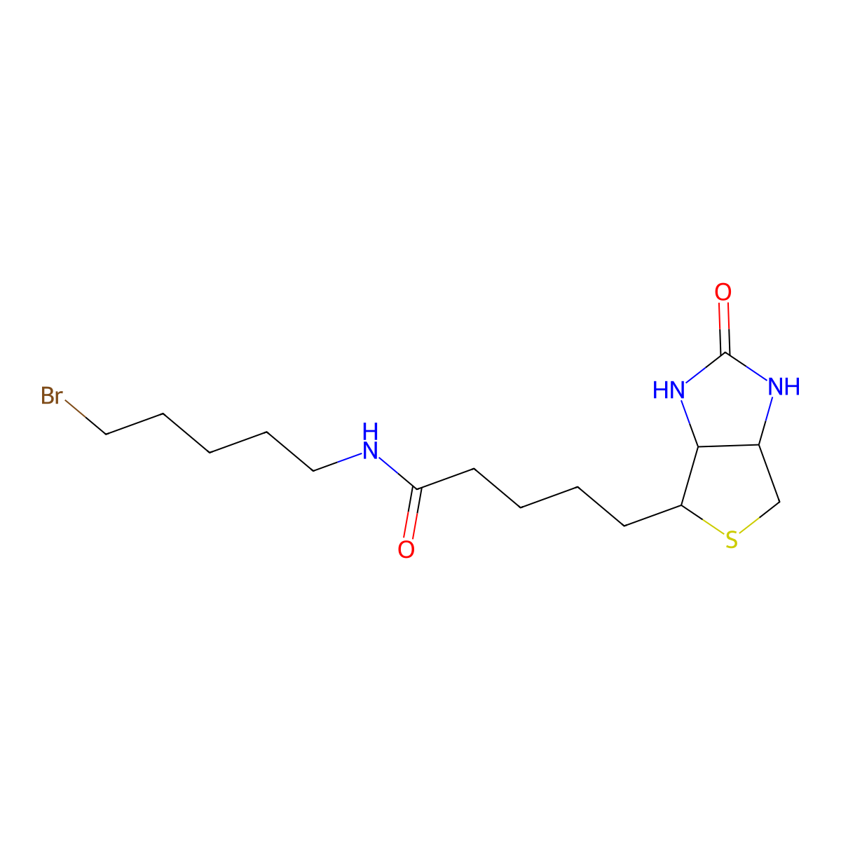 5-[(3aS,4S,6aR)-2-oxo-1,3,3a,4,6,6a-hexahydrothieno[3,4-d]imidazol-4-yl]-N-(5-bromopentyl)pentanamide molecular structure, CAS 1217605-72-5