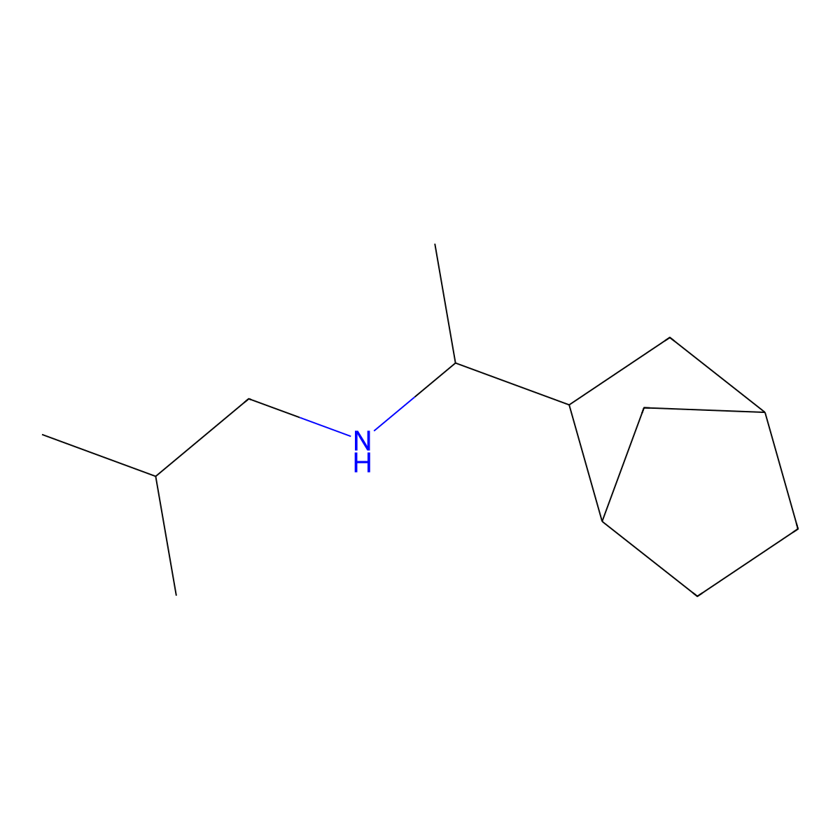 (1-{Bicyclo[2.2.1]heptan-2-YL}ethyl)(2-methylpropyl)amine molecular structure, CAS 1217642-51-7