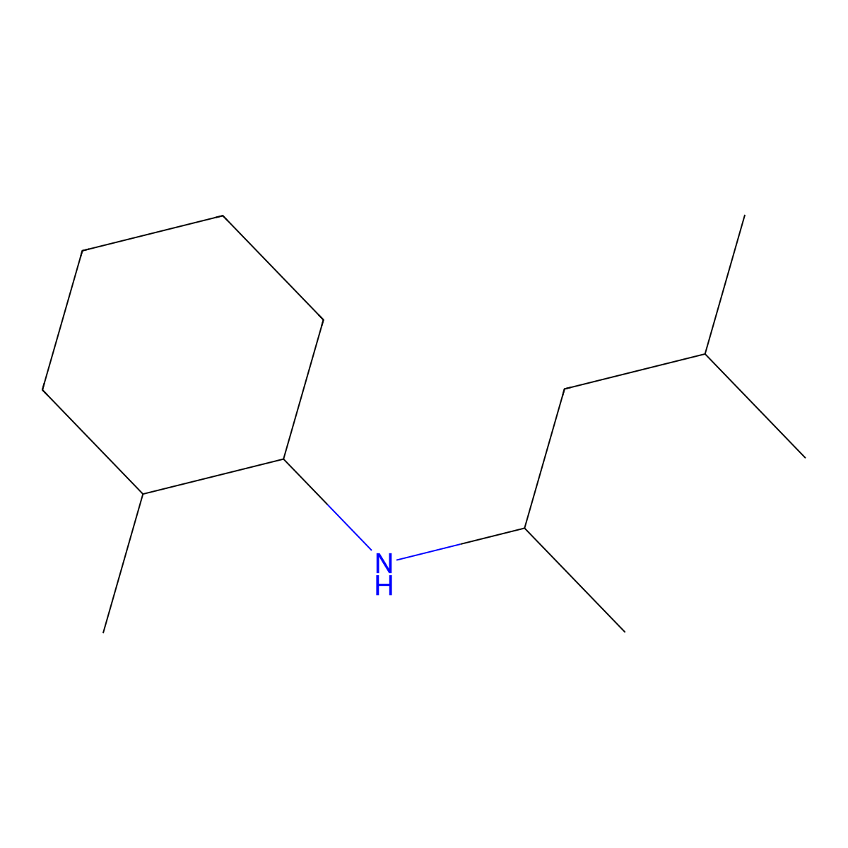 2-methyl-N-(4-methylpentan-2-yl)cyclohexan-1-amine molecular structure, CAS 1217700-31-6