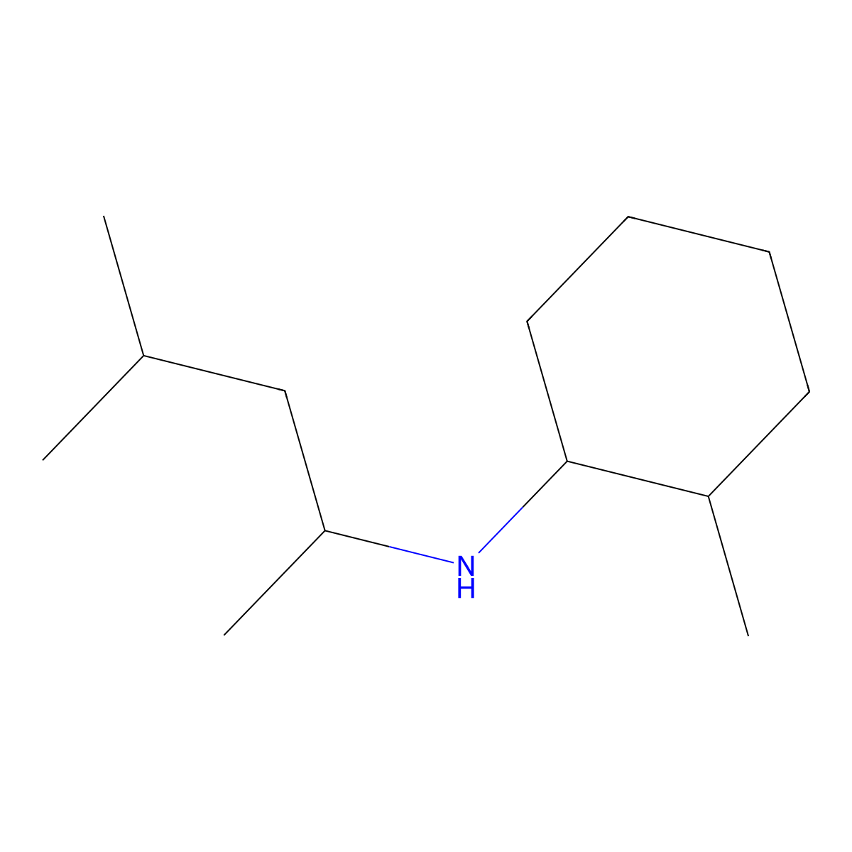 2-methyl-N-(4-methylpentan-2-yl)cyclohexan-1-amine molecular structure, CAS 1217700-31-6