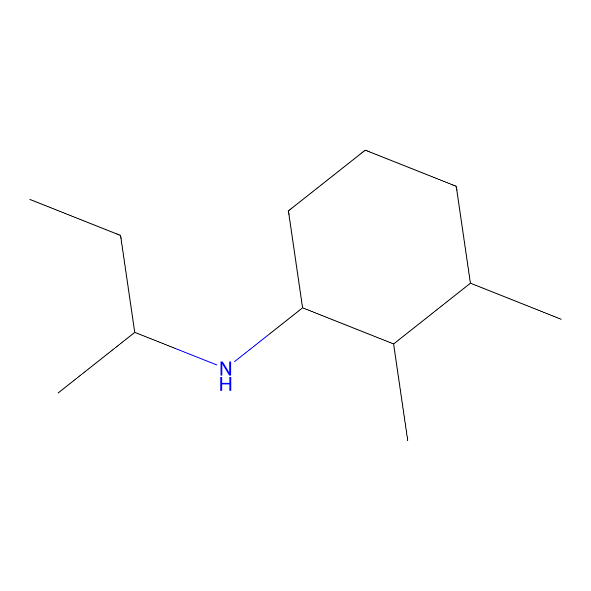 N-(butan-2-yl)-2,3-dimethylcyclohexan-1-amine molecular structure, CAS 1217702-91-4
