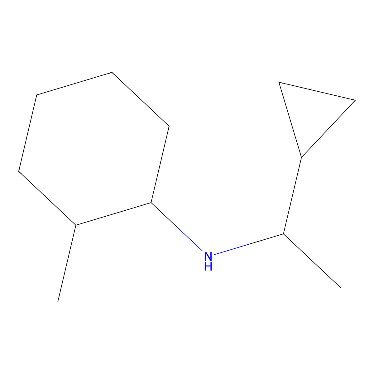 N-(1-cyclopropylethyl)-2-methylcyclohexan-1-amine molecular structure, CAS 1217768-48-3