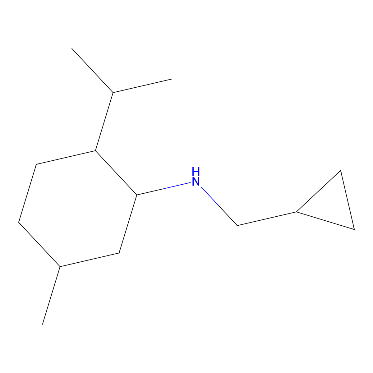 N-(Cyclopropylmethyl)-5-methyl-2-(propan-2-yl)cyclohexan-1-amine molecular structure, CAS 1217839-50-3