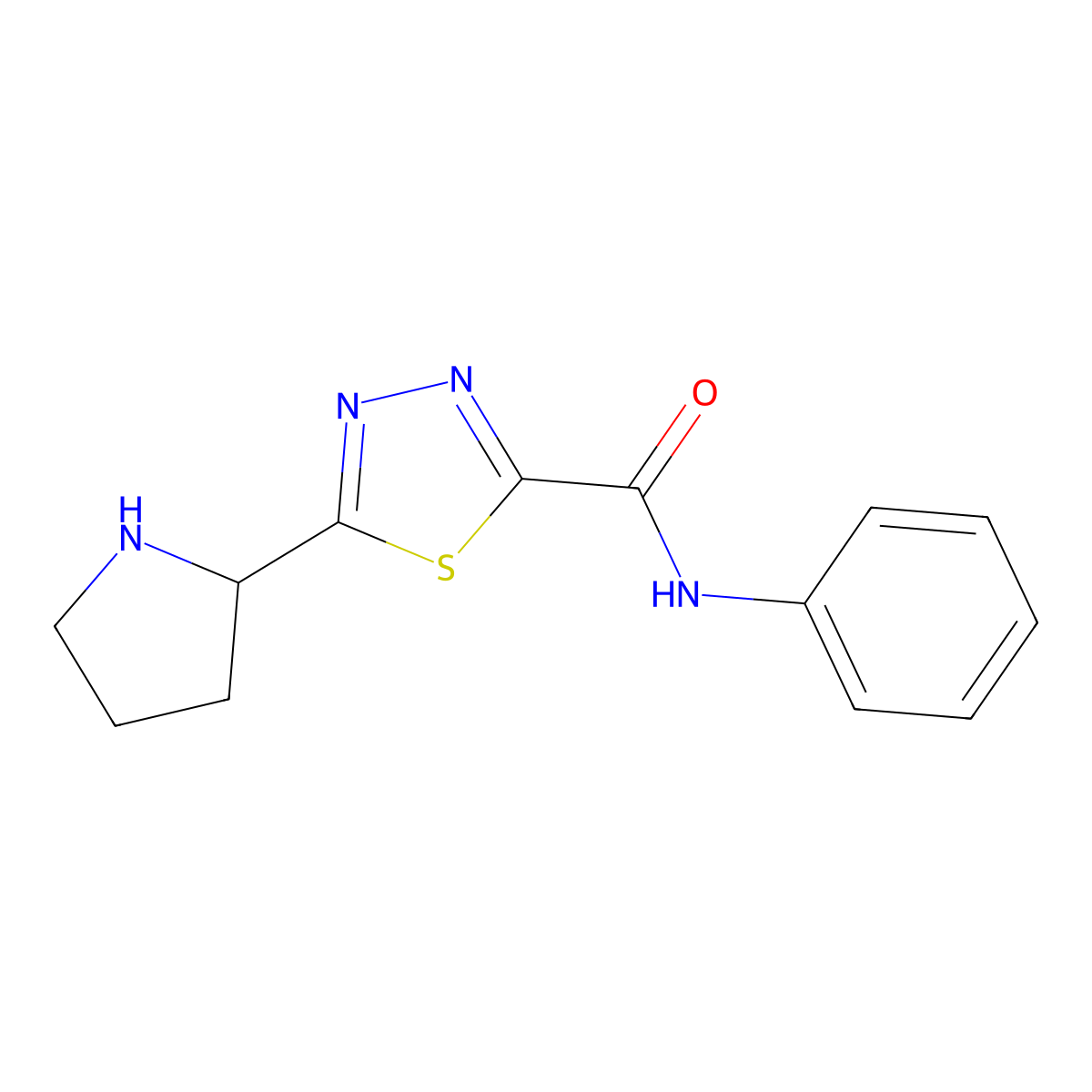 N-Phenyl-5-pyrrolidin-2-yl-1,3,4-thiadiazole-2-carboxamide molecular structure, CAS 1217863-00-7