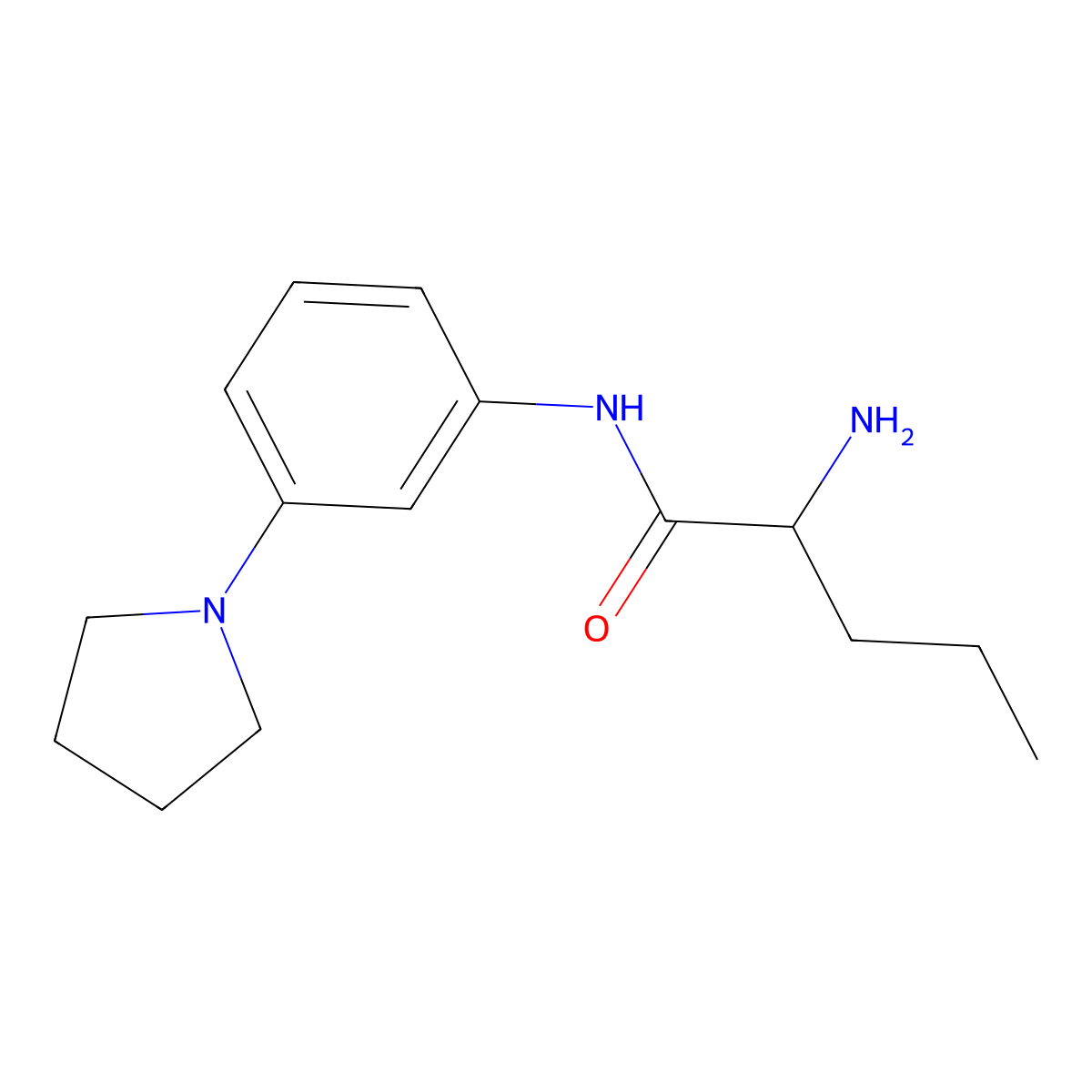 2-amino-N-[3-(pyrrolidin-1-yl)phenyl]pentanamide molecular structure, CAS 1218021-92-1