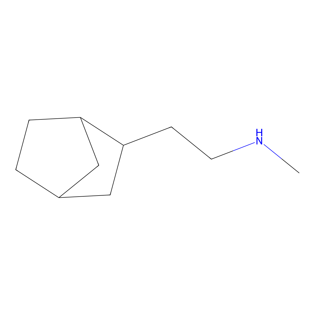 (2-{Bicyclo[2.2.1]heptan-2-yl}ethyl)(methyl)amine molecular structure, CAS 1218186-17-4