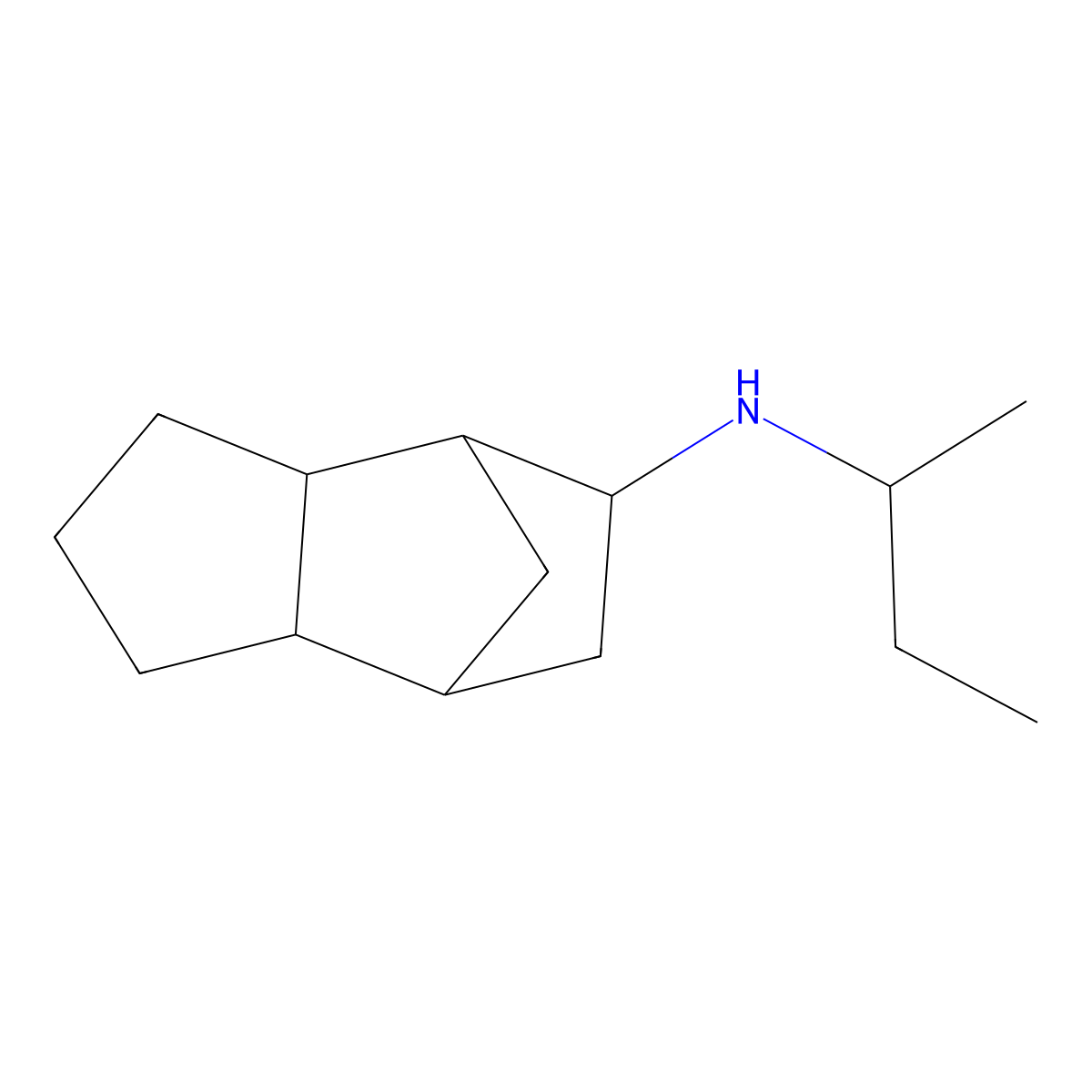 N-(butan-2-yl)tricyclo[5.2.1.02,]decan-8-amine molecular structure, CAS 1218328-58-5