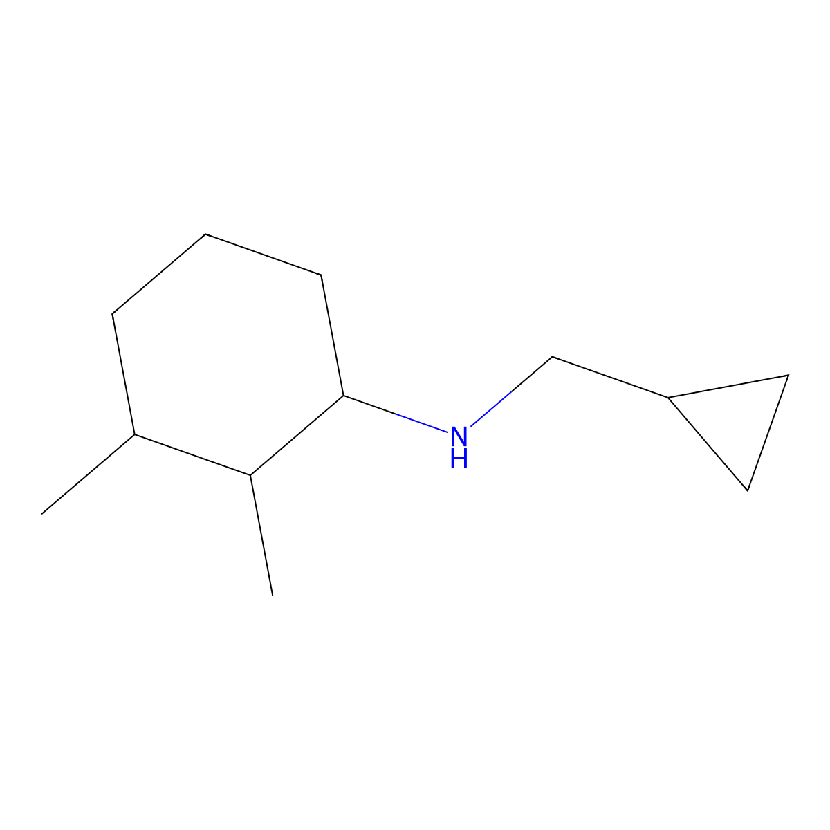 N-(cyclopropylmethyl)-2,3-dimethylcyclohexan-1-amine molecular structure, CAS 1218403-20-3