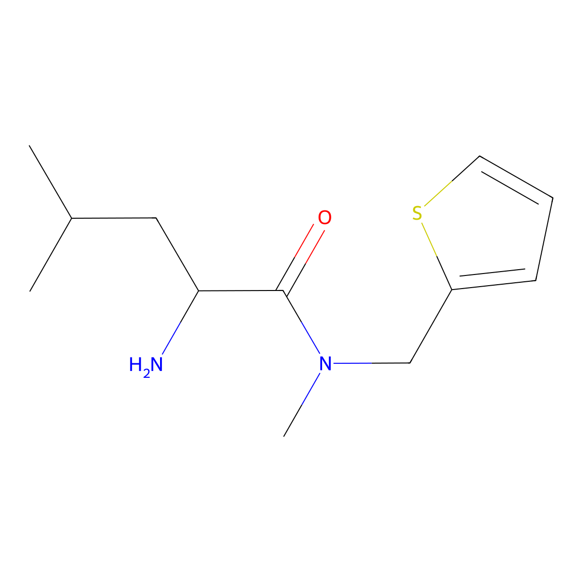 2-amino-N,4-dimethyl-N-(thiophen-2-ylmethyl)pentanamide molecular structure, CAS 1218547-18-2