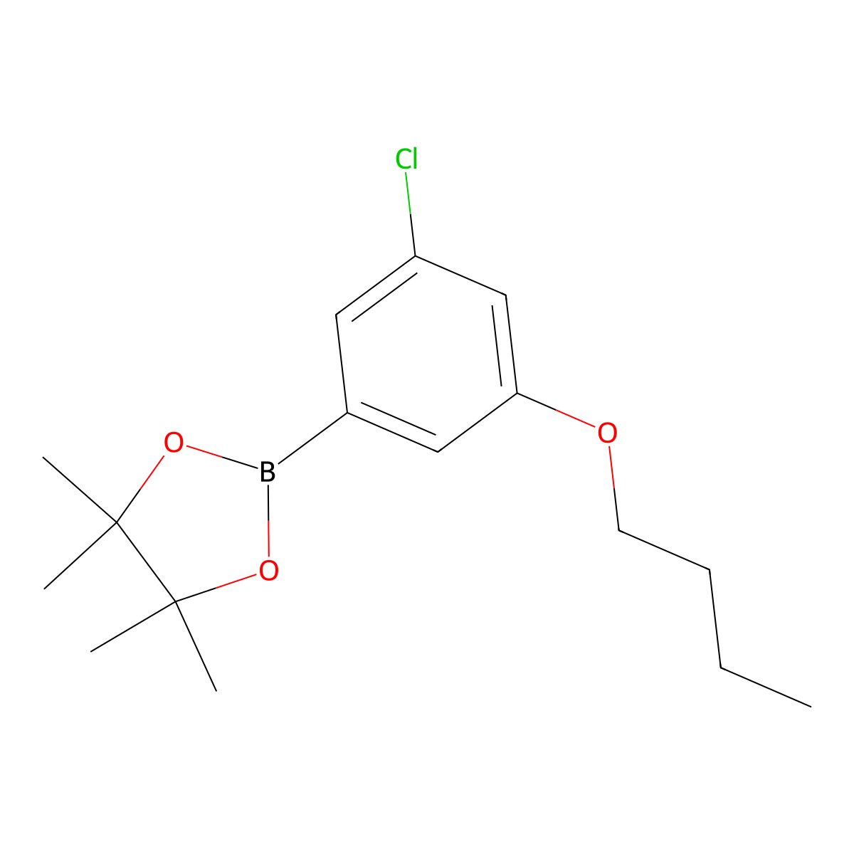 2-(3-Butoxy-5-chlorophenyl)-4,4,5,5-tetramethyl-1,3,2-dioxaborolane molecular structure, CAS 1218789-45-7