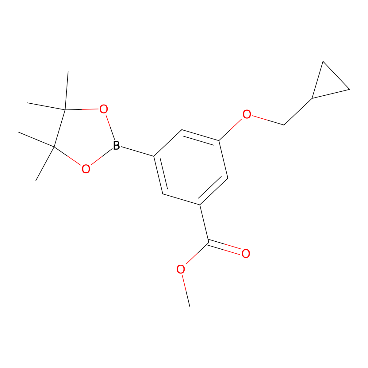Methyl 3-(cyclopropylmethoxy)-5-(4,4,5,5-tetramethyl-1,3,2-dioxaborolan-2-yl)benzoate molecular structure, CAS 1218789-62-8