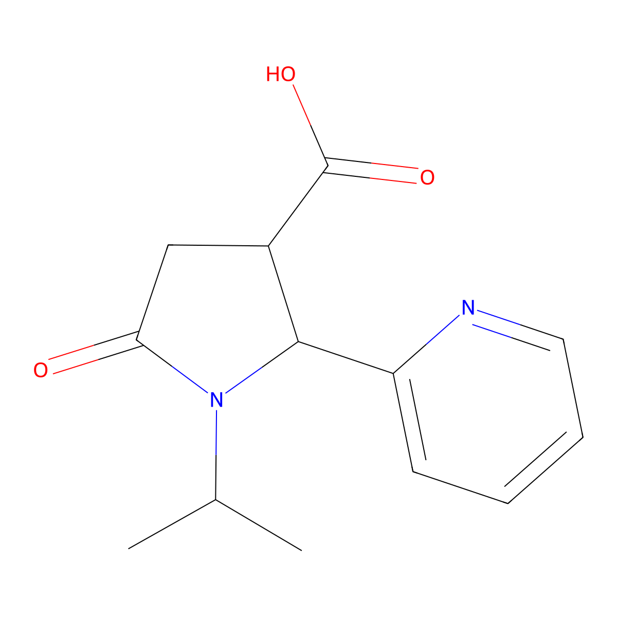 1-Isopropyl-5-oxo-2-(pyridin-2-yl)pyrrolidine-3-carboxylic acid molecular structure, CAS 1219538-85-8