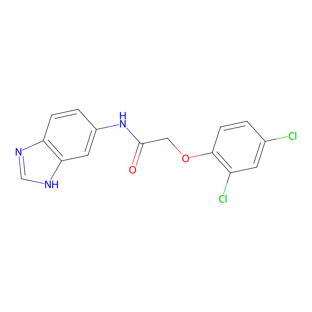 N-(1H-benzimidazol-5-yl)-2-(2,4-dichlorophenoxy)acetamide molecular structure, CAS 1219561-21-3