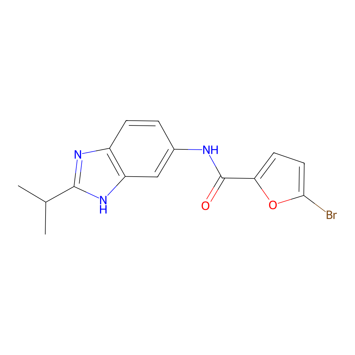 5-bromo-N-[2-(propan-2-yl)-1H-benzimidazol-5-yl]furan-2-carboxamide molecular structure, CAS 1219572-66-3