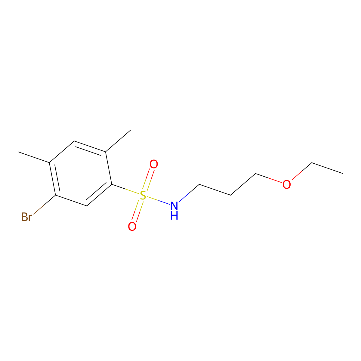 5-bromo-N-(3-ethoxypropyl)-2,4-dimethylbenzenesulfonamide molecular structure, CAS 1219589-79-3