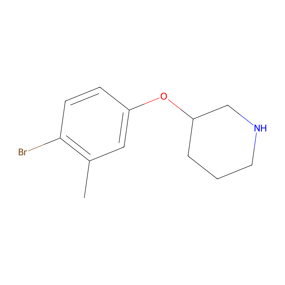3-(4-Bromo-3-methylphenoxy)piperidine molecular structure, CAS 1220025-13-7