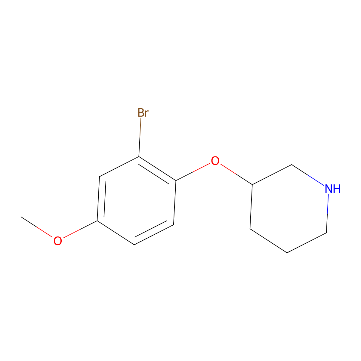 3-(2-Bromo-4-methoxyphenoxy)piperidine molecular structure, CAS 1220174-11-7