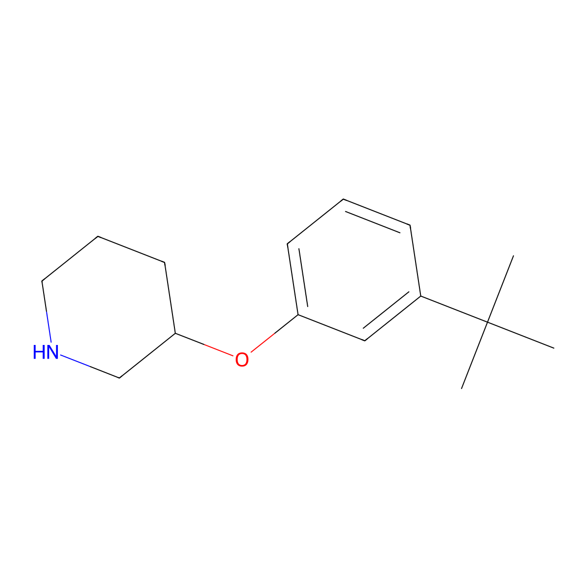 3-(3-Tert-butylphenoxy)piperidine molecular structure, CAS 1220176-52-2