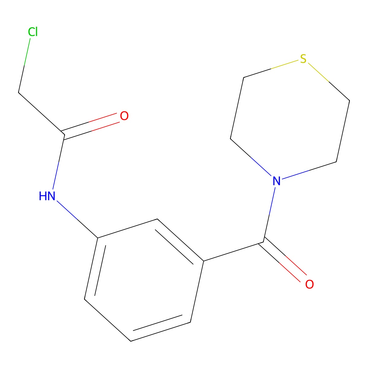2-Chloro-N-(3-(4-thiomorpholinylcarbonyl)phenyl)acetamide molecular structure, CAS 1221724-55-5