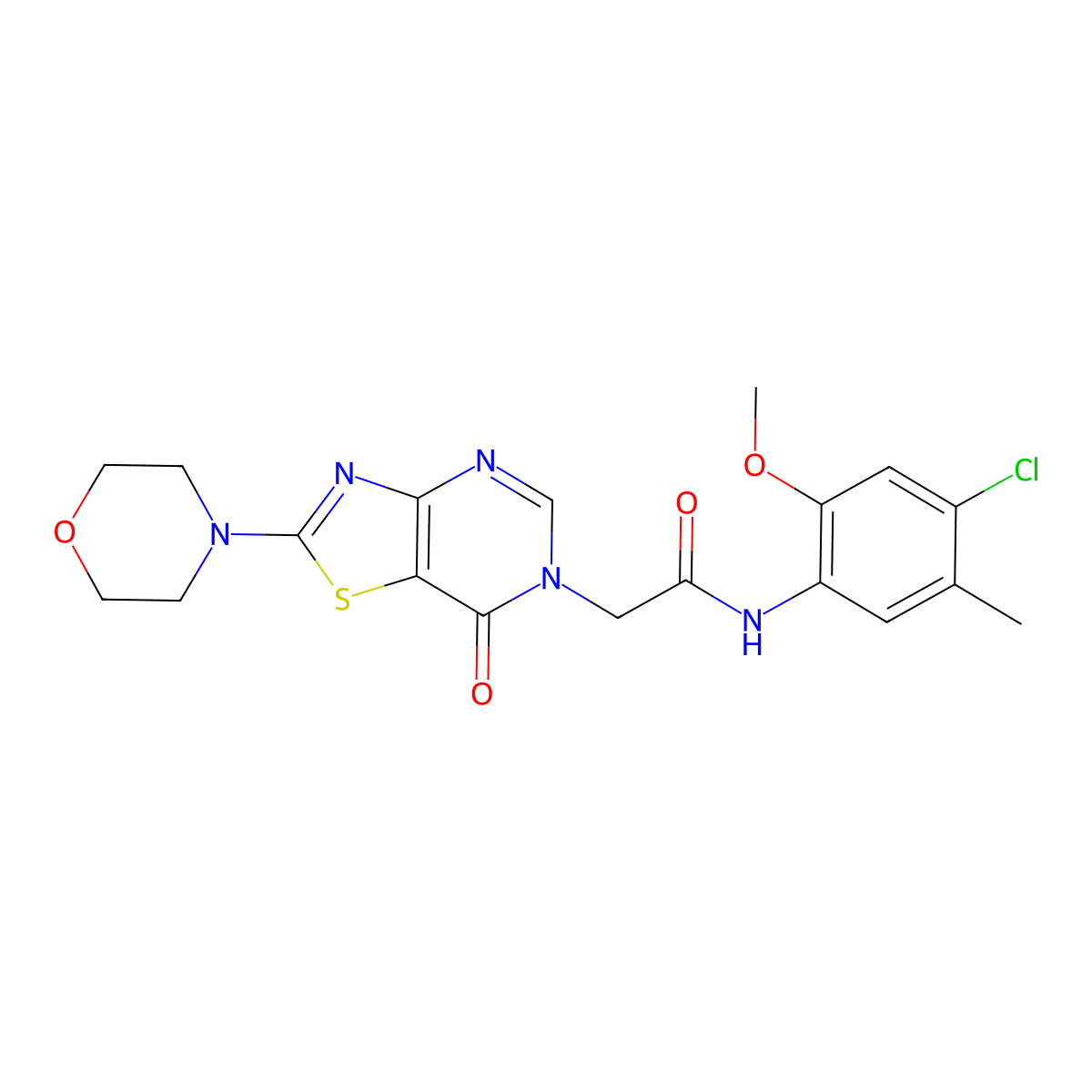 N-(4-chloro-2-methoxy-5-methylphenyl)-2-(2-morpholino-7-oxothiazolo[4,5-d]pyrimidin-6(7H)-yl)acetamide molecular structure, CAS 1223859-81-1