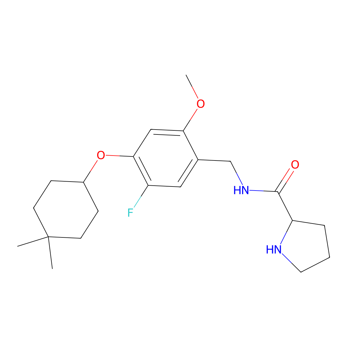 (S)-N-(4-((4,4-Dimethylcyclohexyl)oxy)-5-fluoro-2-methoxybenzyl)pyrrolidine-2-carboxamide molecular structure, CAS 1224048-09-2