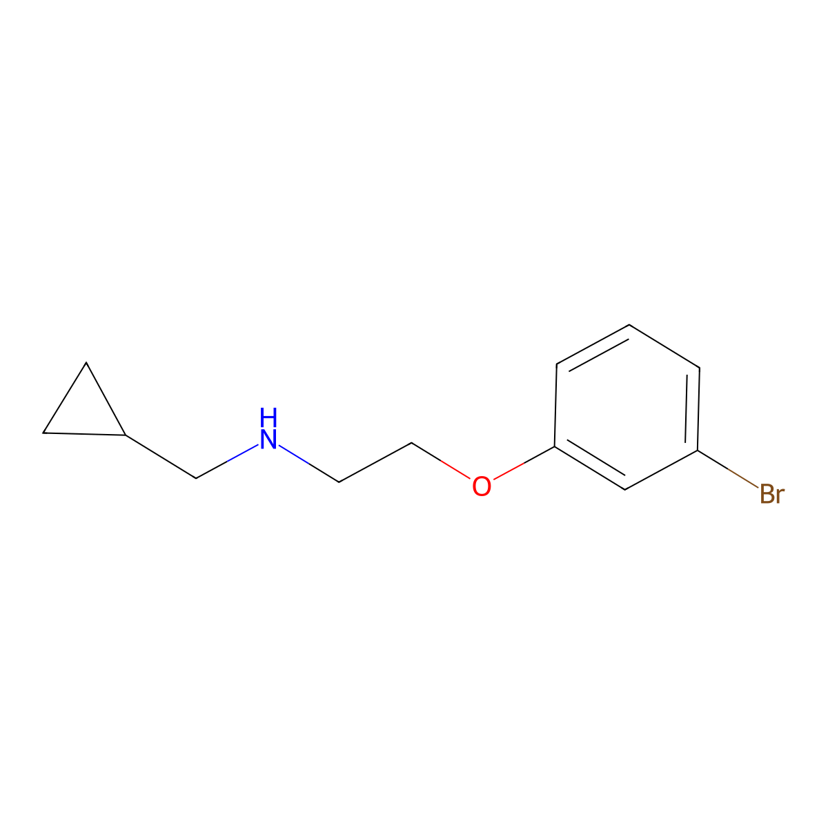 2-(3-Bromophenoxy)-N-(cyclopropylmethyl)ethan-1-amine molecular structure, CAS 1225573-80-7