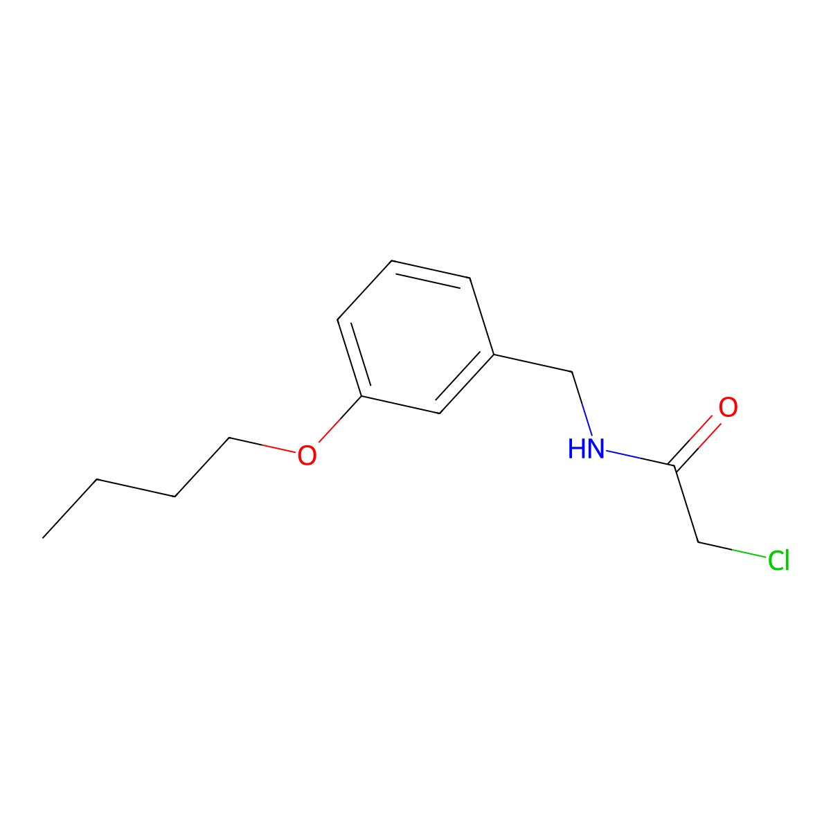 N-[(3-butoxyphenyl)methyl]-2-chloroacetamide molecular structure, CAS 1225836-58-7
