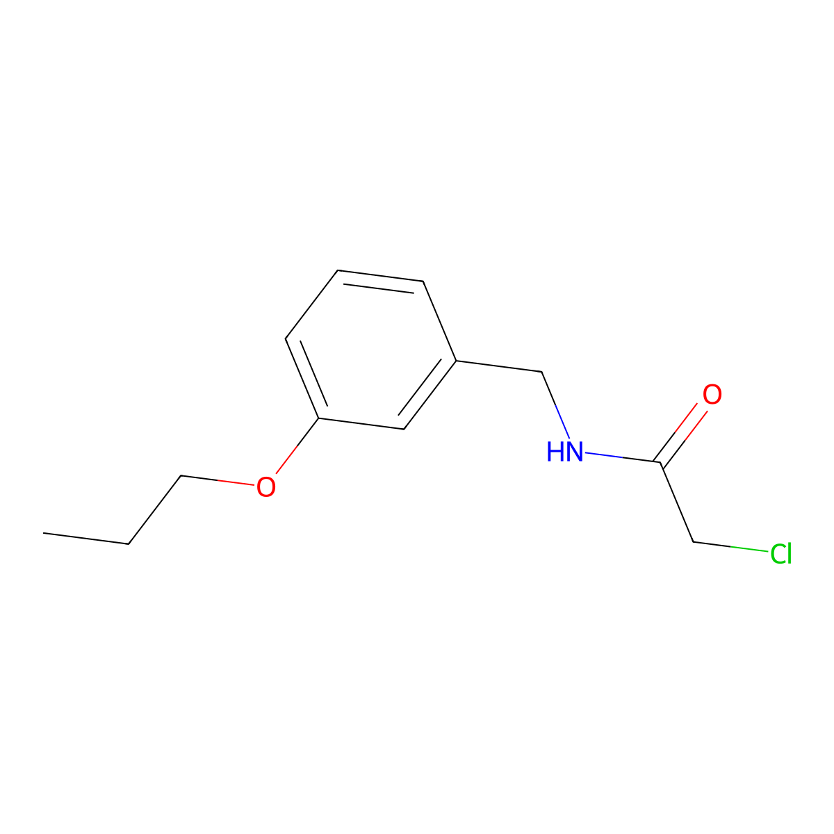 2-chloro-N-[(3-propoxyphenyl)methyl]acetamide molecular structure, CAS 1226036-22-1