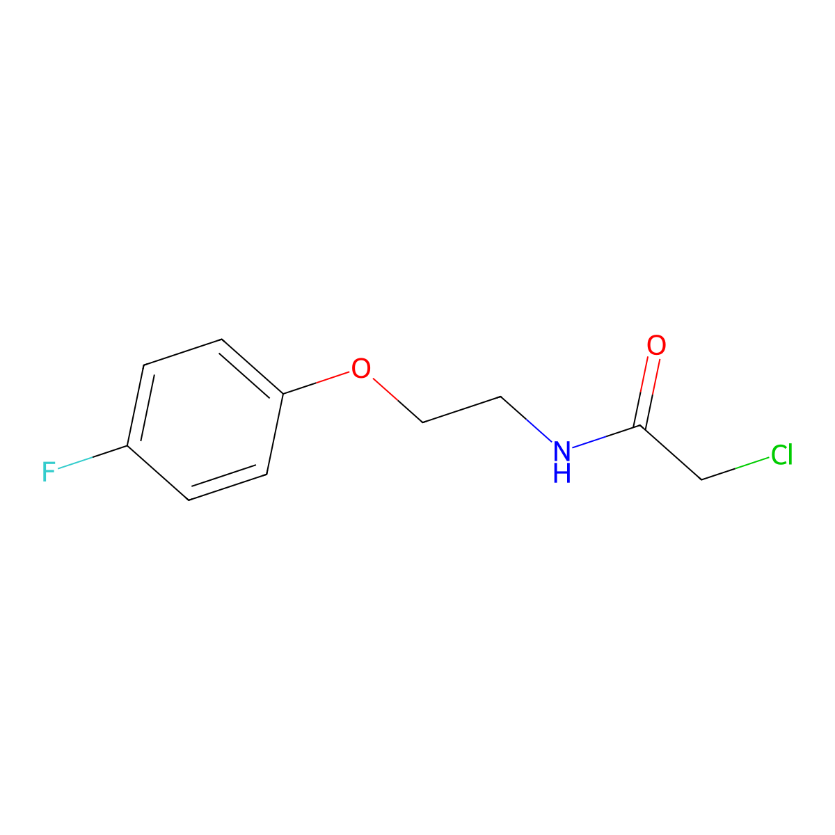 2-chloro-N-[2-(4-fluorophenoxy)ethyl]acetamide molecular structure, CAS 1226121-35-2