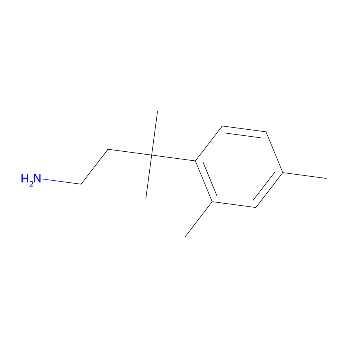 3-(2,4-Dimethylphenyl)-3-methylbutan-1-amine molecular structure, CAS 1226176-08-4