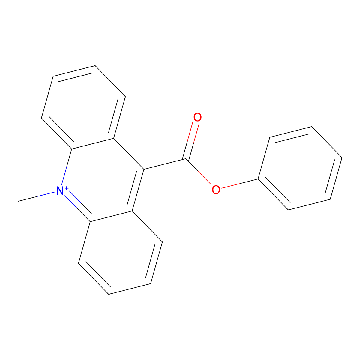 9-Phenylcarboxylate-10-methylacridinium molecular structure, CAS 123632-55-3