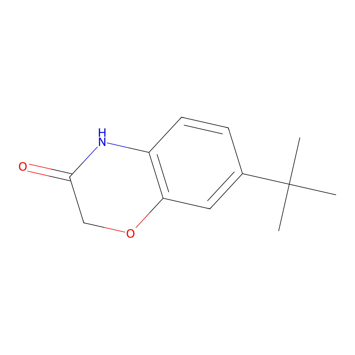 7-tert-Butyl-4H-benzo[1,4]oxazin-3-one molecular structure, CAS 1239739-18-4