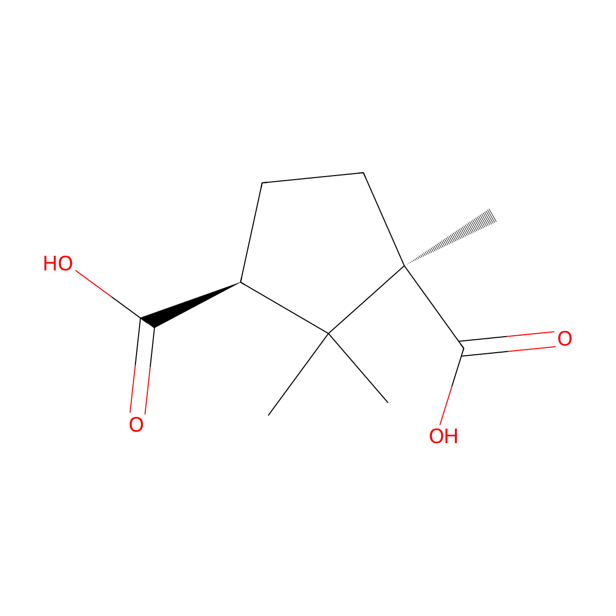 Camphoric Acid molecular structure, CAS 124-83-4