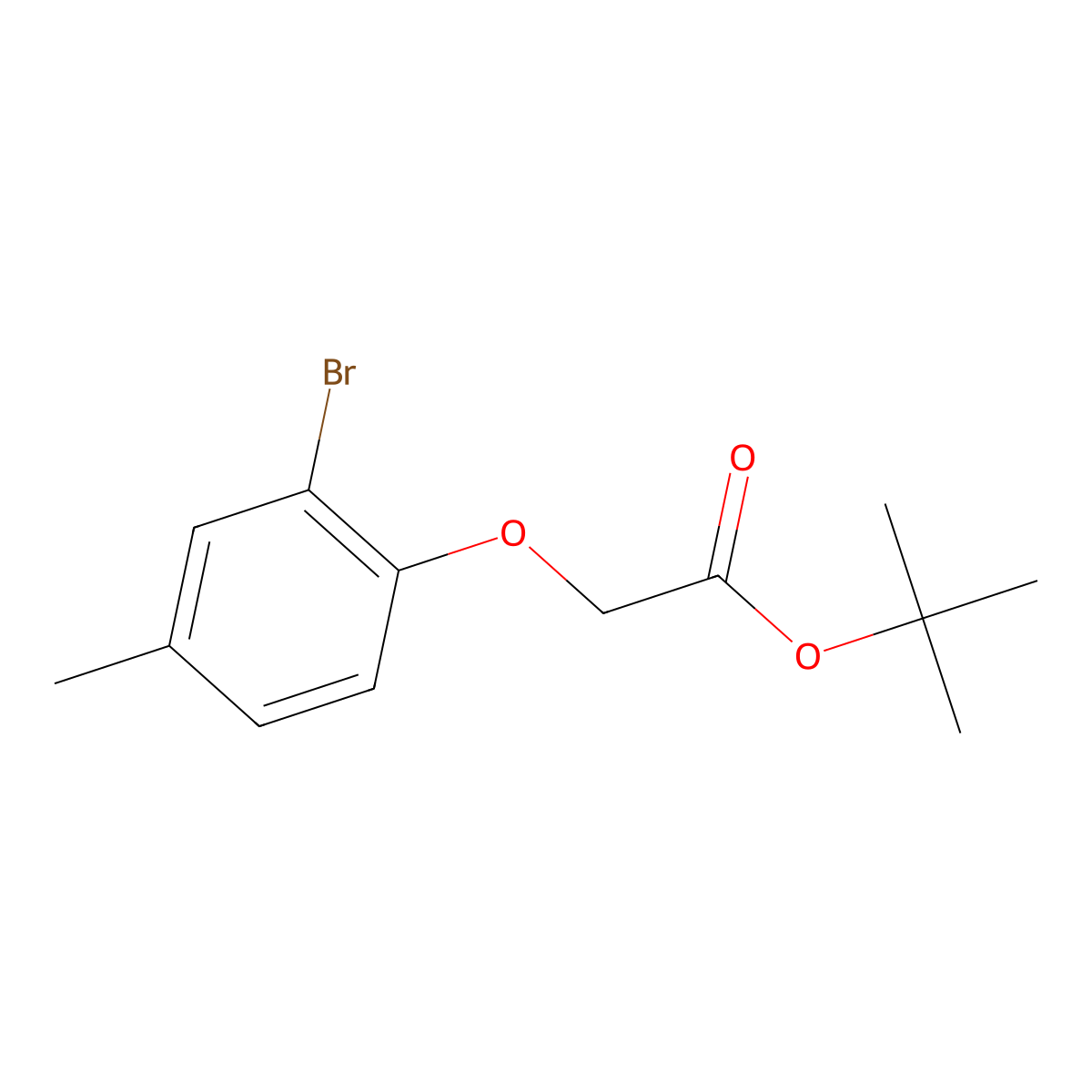 Tert-butyl 2-(2-bromo-4-methylphenoxy)acetate molecular structure, CAS 1240286-85-4