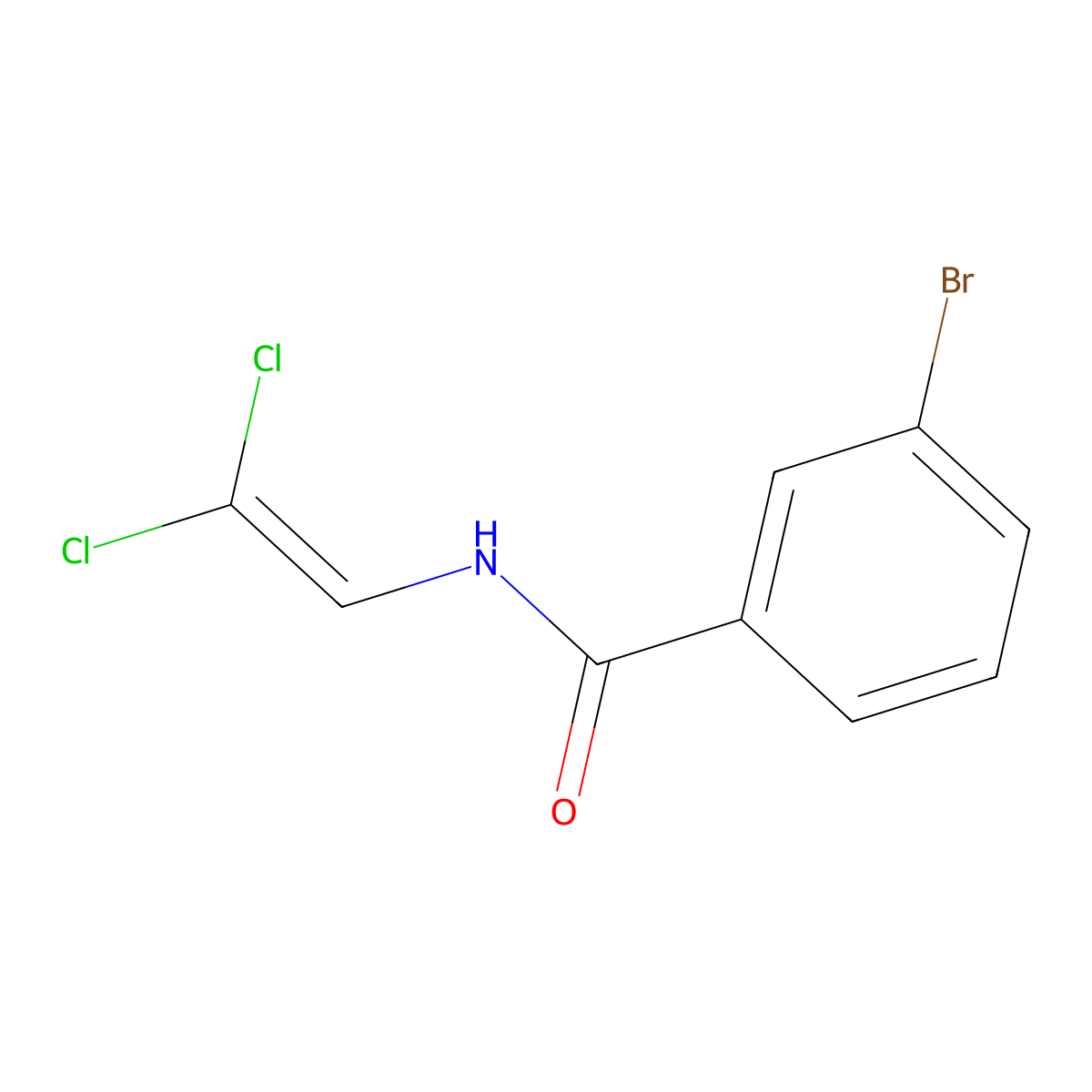 3-bromo-N-(2,2-dichloroethenyl)benzamide molecular structure, CAS 1240527-60-9