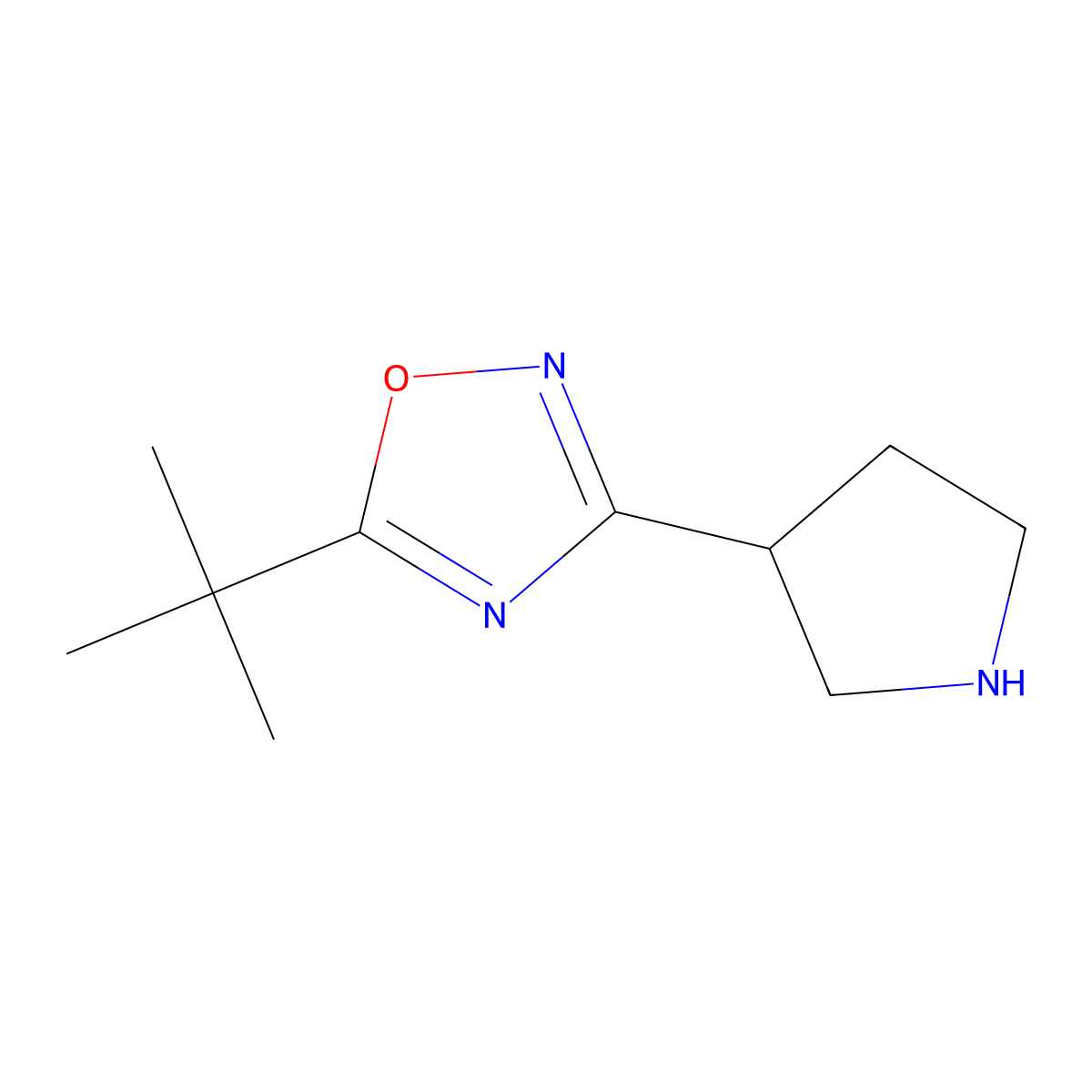 5-tert-Butyl-3-(pyrrolidin-3-yl)-1,2,4-oxadiazole molecular structure, CAS 1244803-73-3