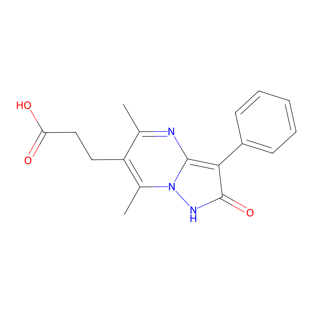 3-(5,7-Dimethyl-2-oxo-3-phenyl-1,2-dihydropyrazolo[1,5-a]pyrimidin-6-yl)propanoic acid molecular structure, CAS 1245569-50-9