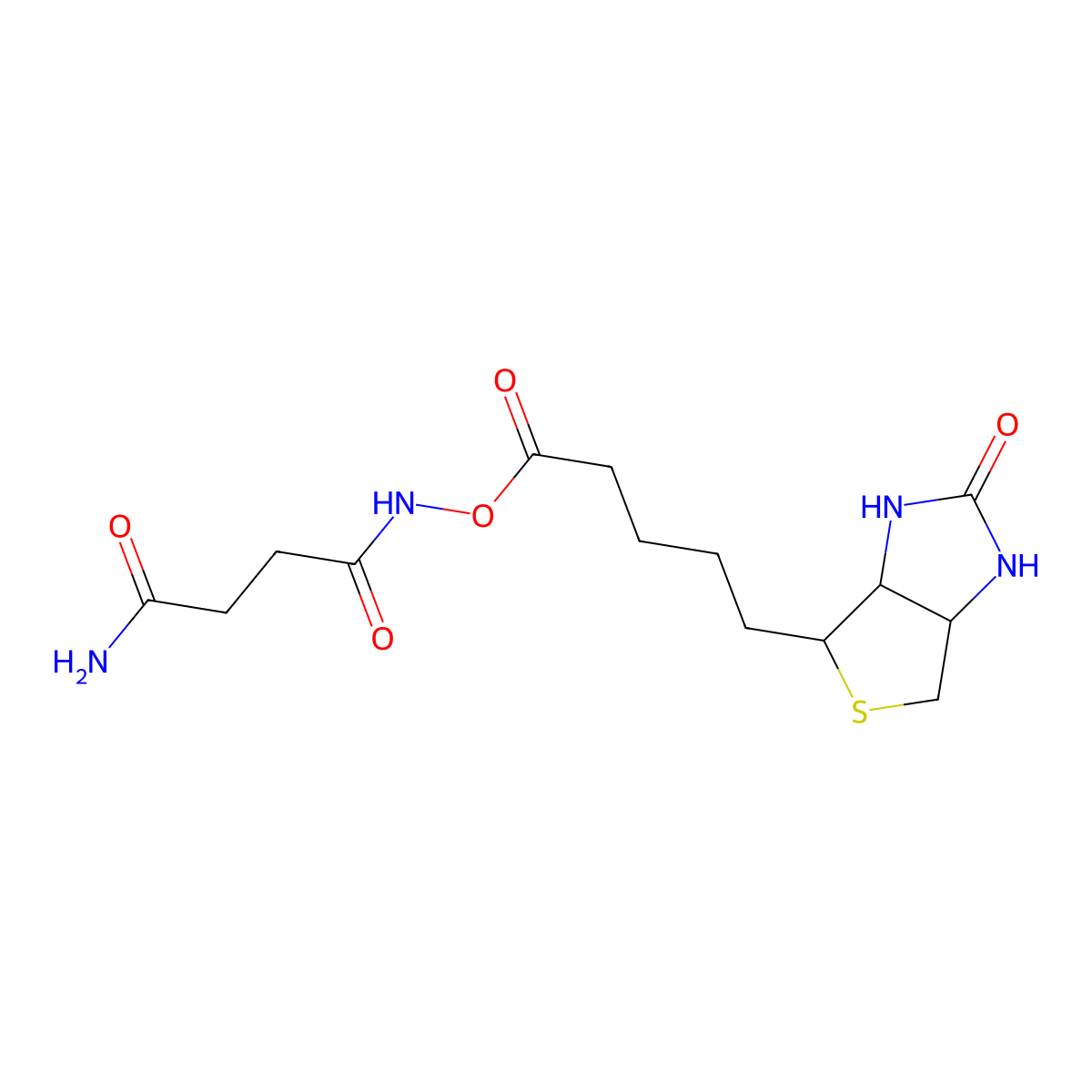 Biotin n-succinimidyl ester molecular structure, CAS 1245615-71-7