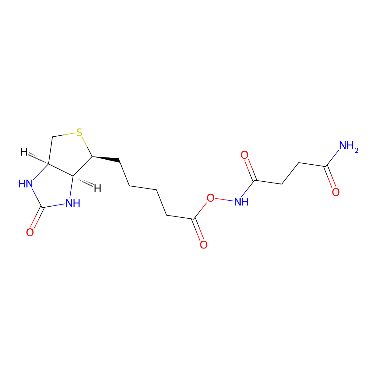 Biotin n-succinimidyl ester molecular structure, CAS 1245615-71-7